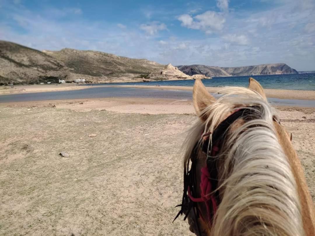 Caballo De Mar Frison Cabo De Gata Sant Josep de sa Talaia Exteriér fotografie